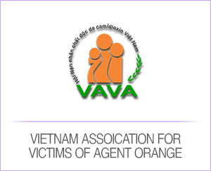 vietnam assoication